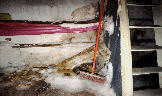 Kellerraum mit Problembewuchs, weies Mycel an Boden und Wand