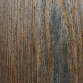 Bläuepilze an Lärchenholz einer Fassade