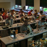 Mikroskopieren im Pilz-Seminar in Hamburg