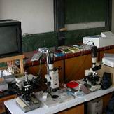Auf- und Durchlicht-Mikroskope